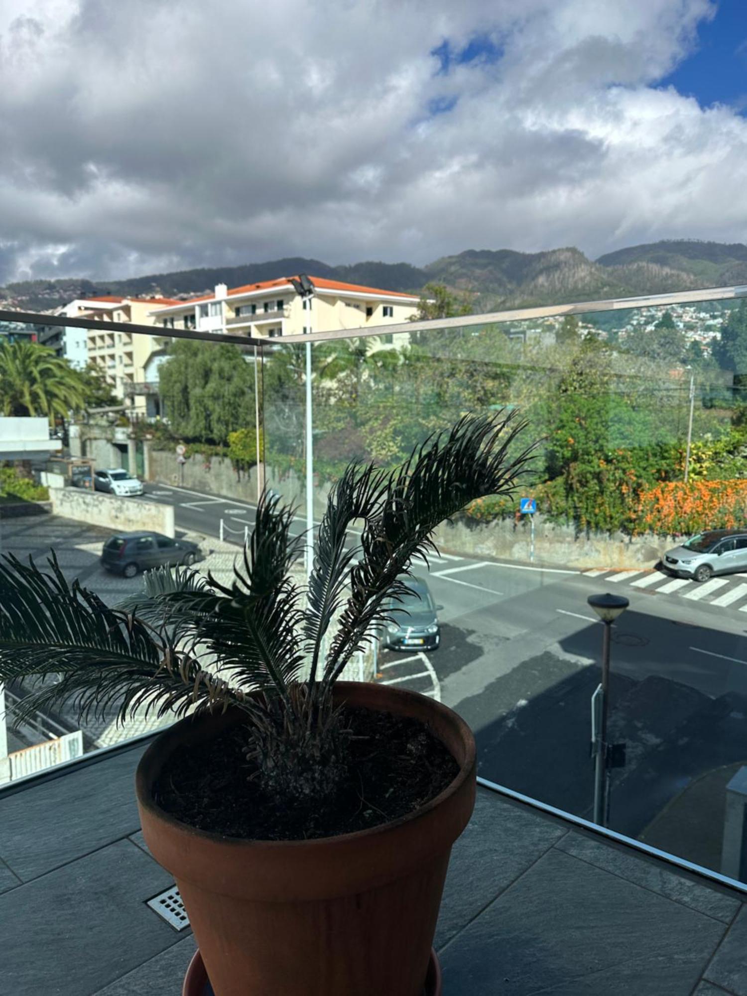 Raphael Funchal Views Apartment المظهر الخارجي الصورة